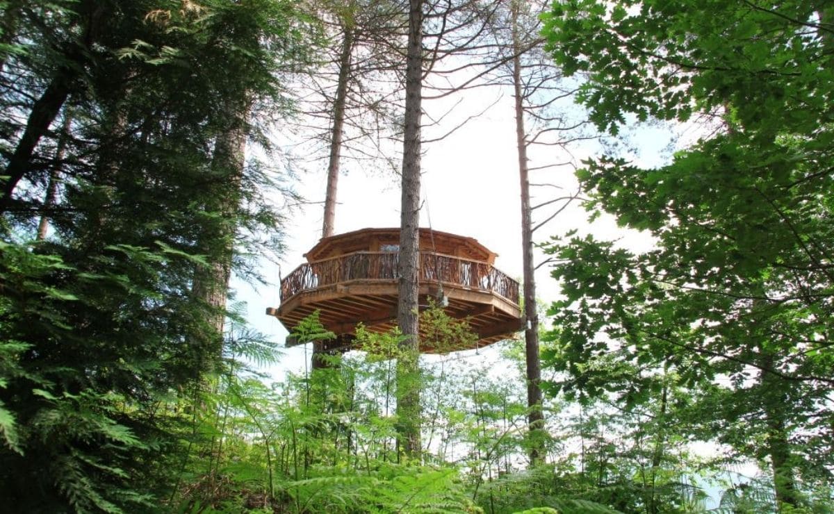 Cabaña en el árbol, gampling de Euskadi