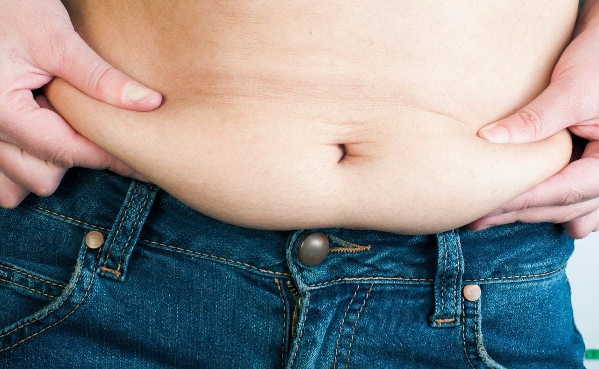 grasa abdomen abdominal proteina