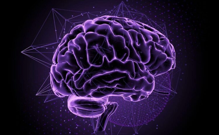 4 hábitos para fortalecer el desarrollo de las neuronas y mantener el cerebro activo