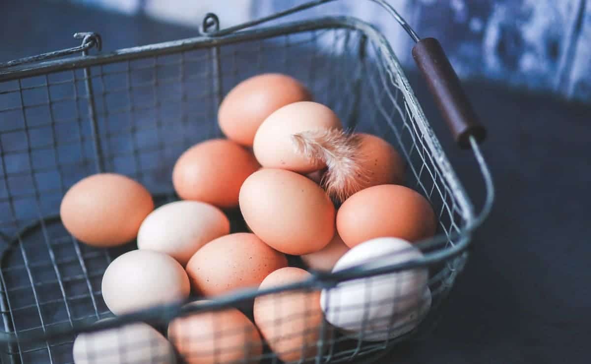los huevos son indispensables para la dieta humana