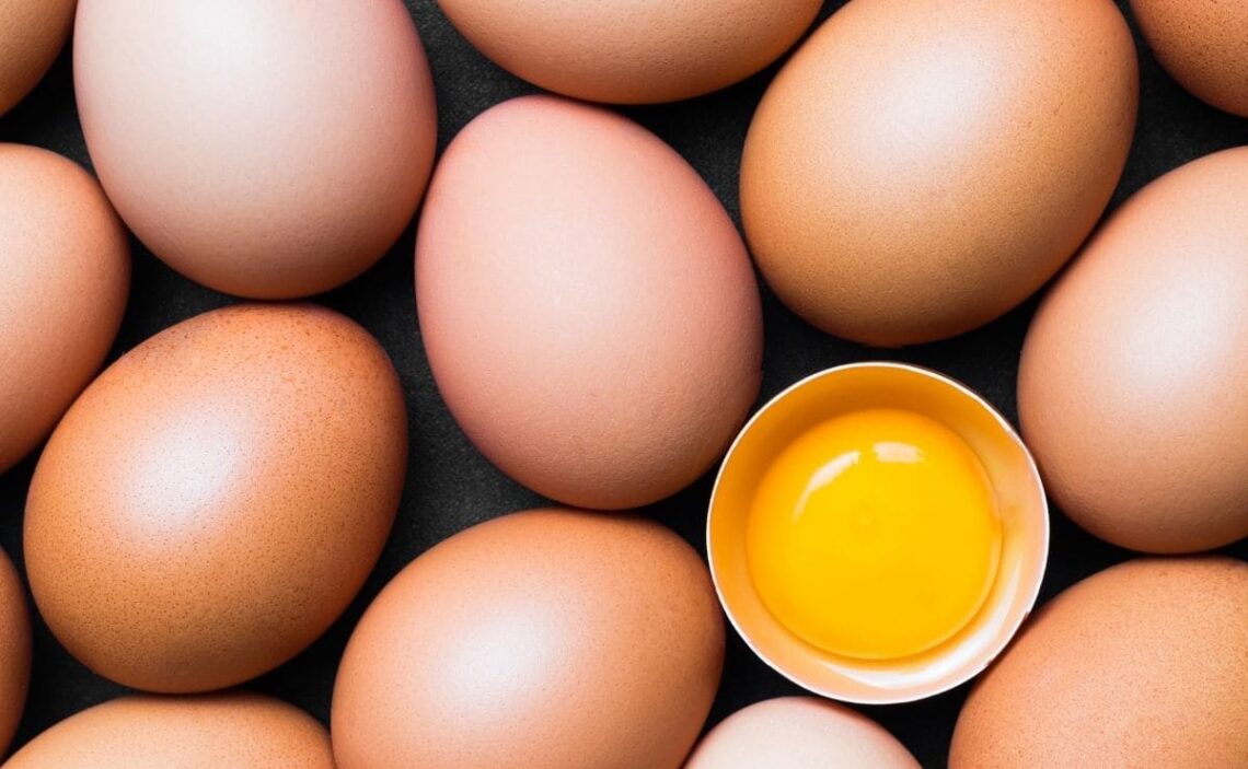 huevos superalimento perder peso