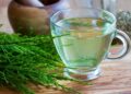 5 beneficios de la infusión de cola de caballo que no conocías