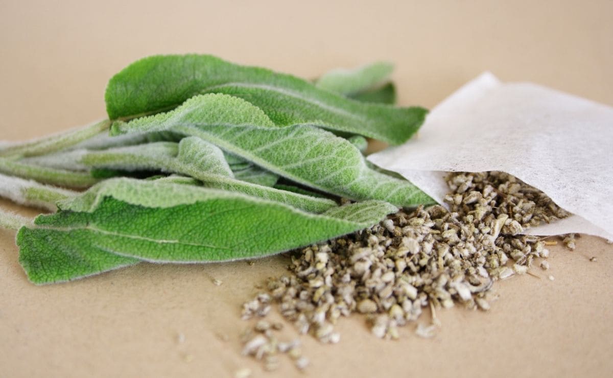 La infusión de salvia es una de las más beneficiosas para tener un vientre plano