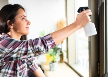 El ingrediente para limpiar las ventanas sin esfuerzo