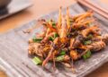 Insectos superalimento