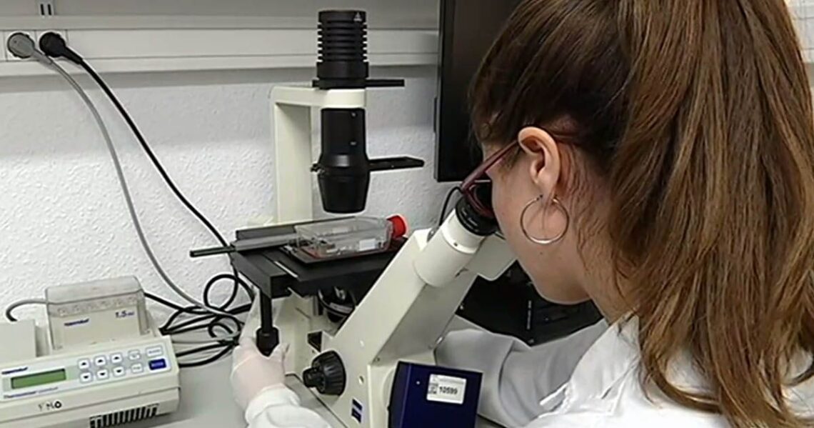 Investigación del cáncer colorrectal