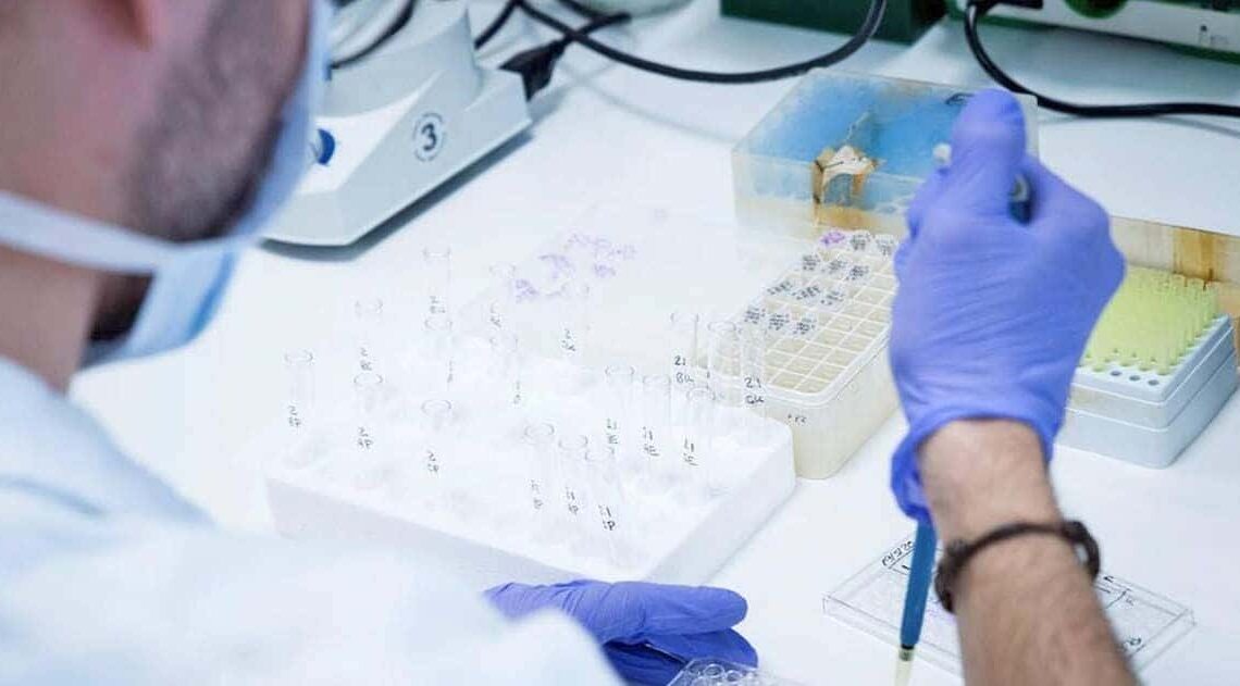 Investigación laboratorio