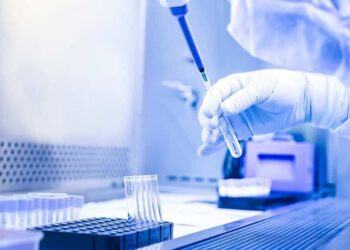 Investigación
