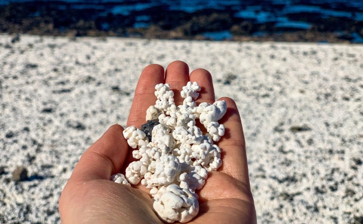 Playa de las Palomitas, situada en la isla de Fuerteventura