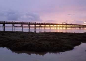 El Parque de los Toruños es uno de los destinos accesibles de la provincia de Cádiz