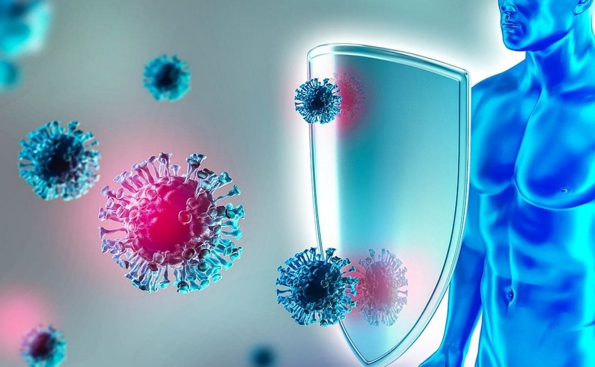 jengibre superalimento protege sistema inmune