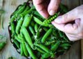 Legumbres ricas en fibra