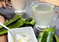 Comer aloe vera crudo