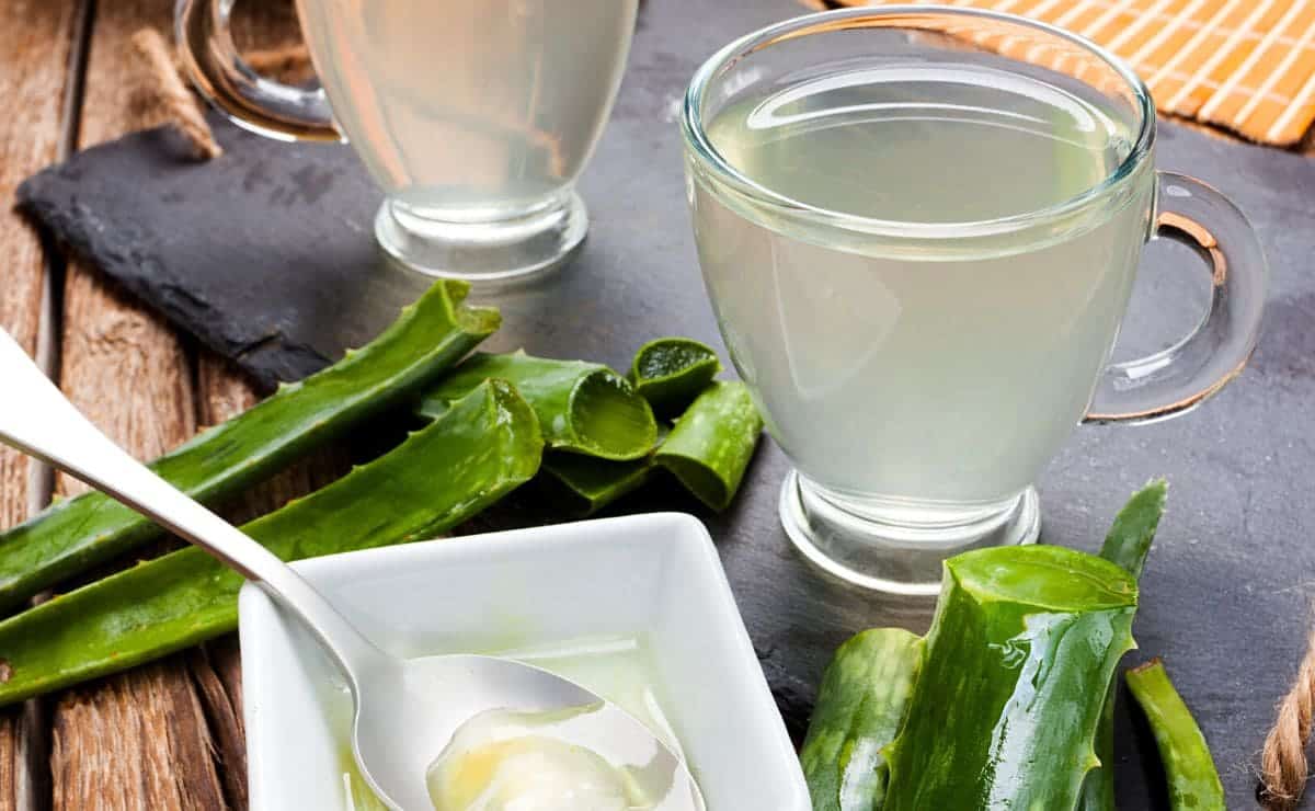 Comer aloe vera crudo