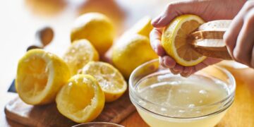 jugo limón zumo fruta hormiga plaga insecto bicho