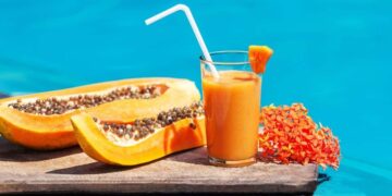 jugo papaya alimentos zumo fruta bebida dieta semilla