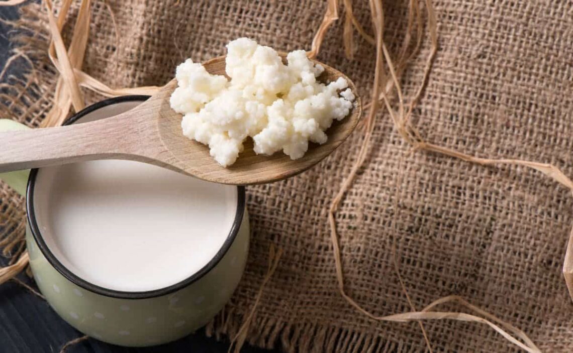 ¿Cuál es la diferencia entre el kéfir y el yogur?
