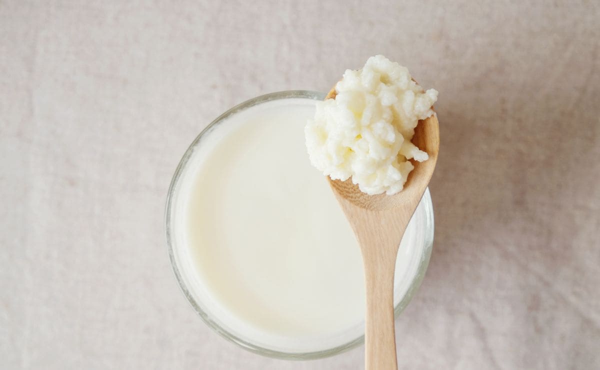 ¿Cuál es la diferencia entre el kéfir y el yogur?