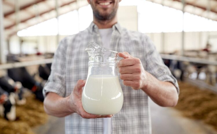 Los lácteos son ricos en vitamina A que mejora la visión