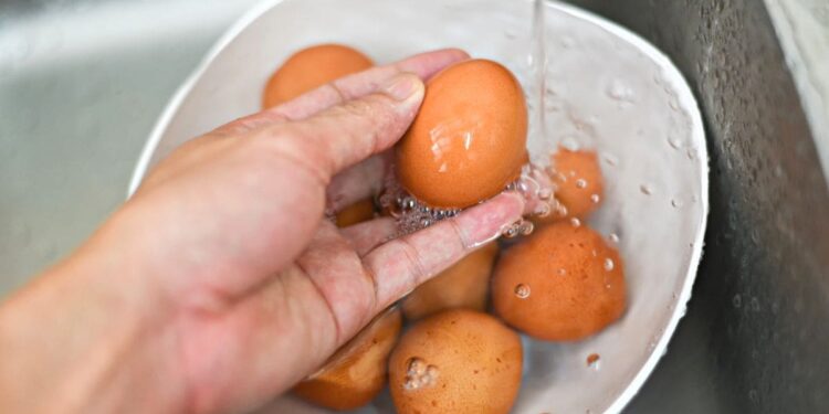 ¿Se deben lavar los huevos antes de comerlos?./ CANVA