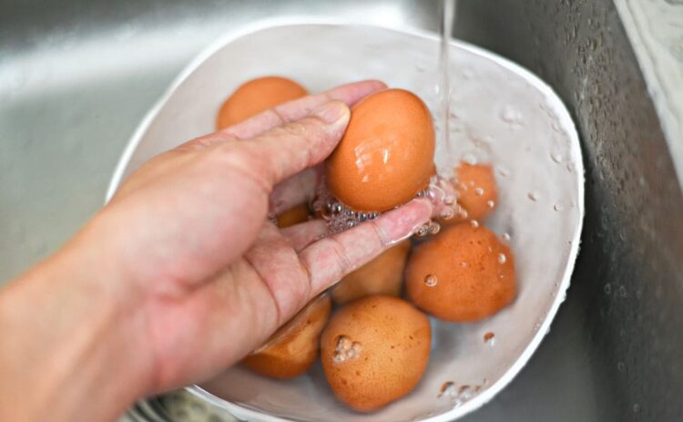 ¿Se deben lavar los huevos antes de comerlos?./ CANVA