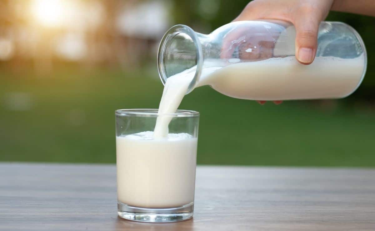 Consejos de la OCU para saber el estado de la leche