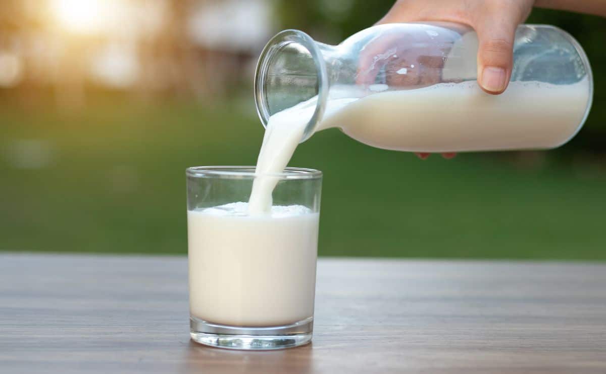 leche bebida calcio alimento vitamina mineral