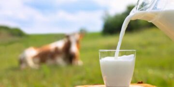 leche bebida calcio alimento vitamina mineral