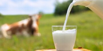 La mejor leche del supermercado, según la OCU