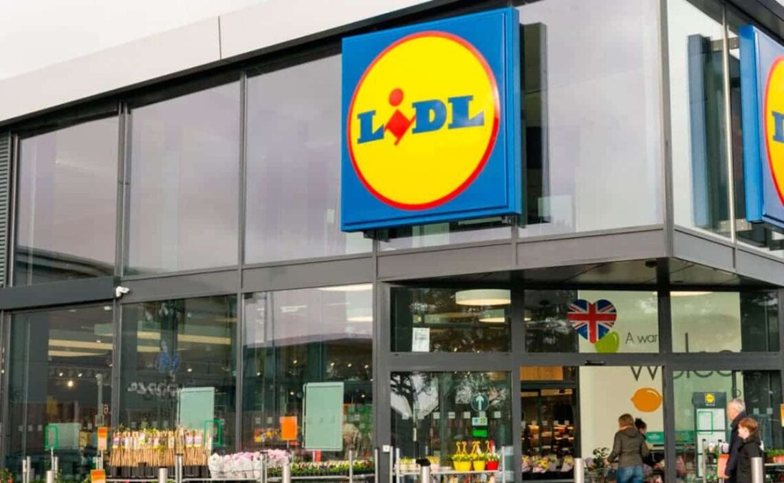 Pantalones térmicos interiores de mujer en Lidl