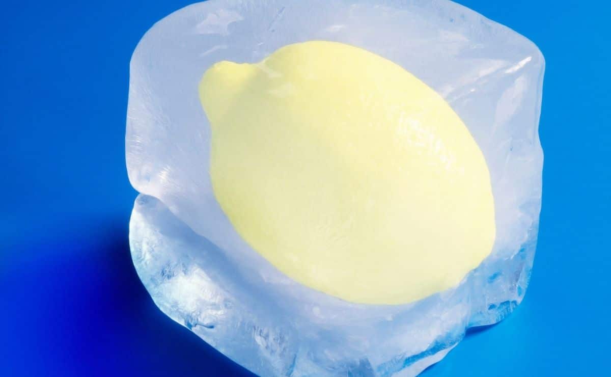 limón congelado fruta cítrico alimento vitaminas vitamina c dieta agua