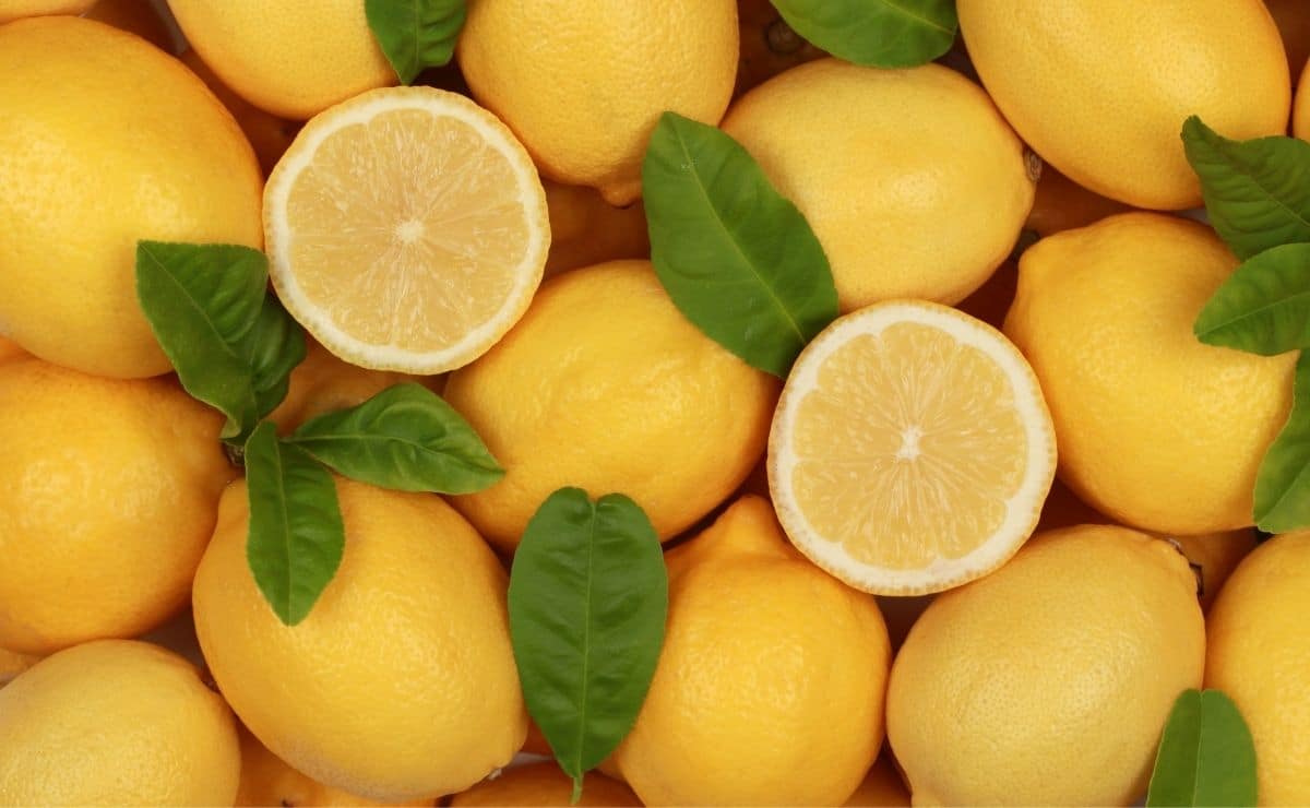 limón fruta cítrico vitamina c azúcar vitaminas