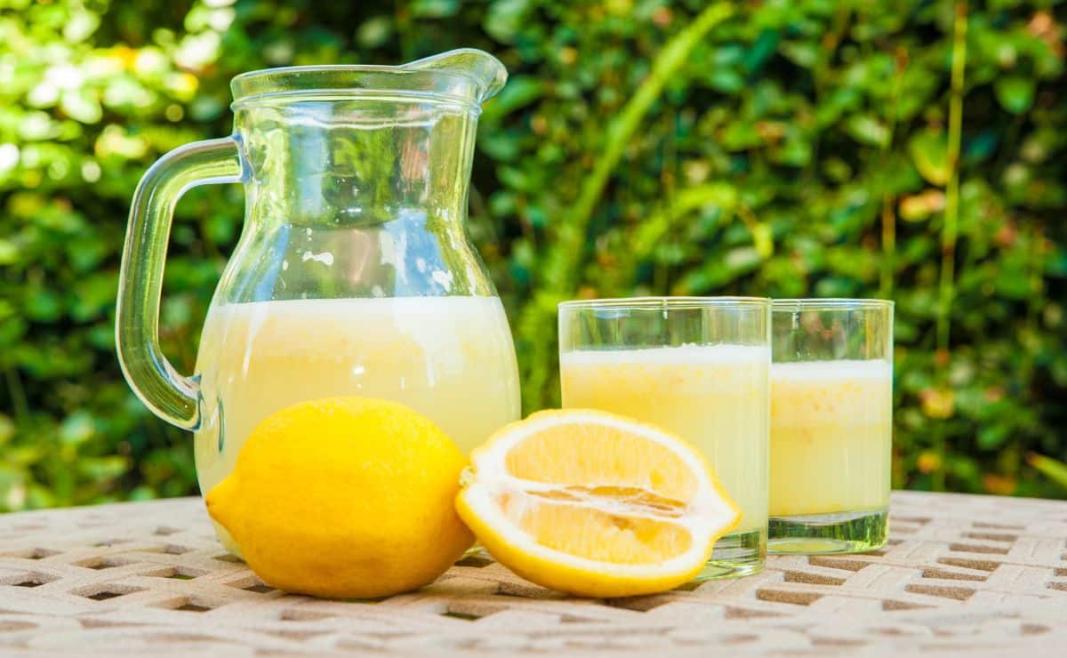 limonada receta limón fruta cítrico sabor gastronomía jugo zumo