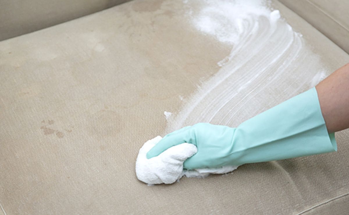 Limpiar en seco la tapicería de su sofá será más fácil que nunca con este  producto de Mercadona