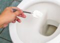 Este ingrediente limpia y elimina las manchas del váter
