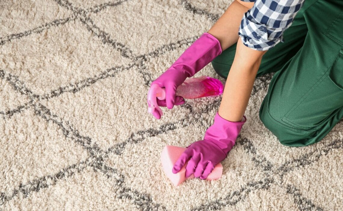 Mujer mano verter bicarbonato de sodio bicarbonato de sodio en una alfombra  larga de pelo para la limpieza y eliminación de manchas. Concepto de  limpieza natural del hogar Fotografía de stock 