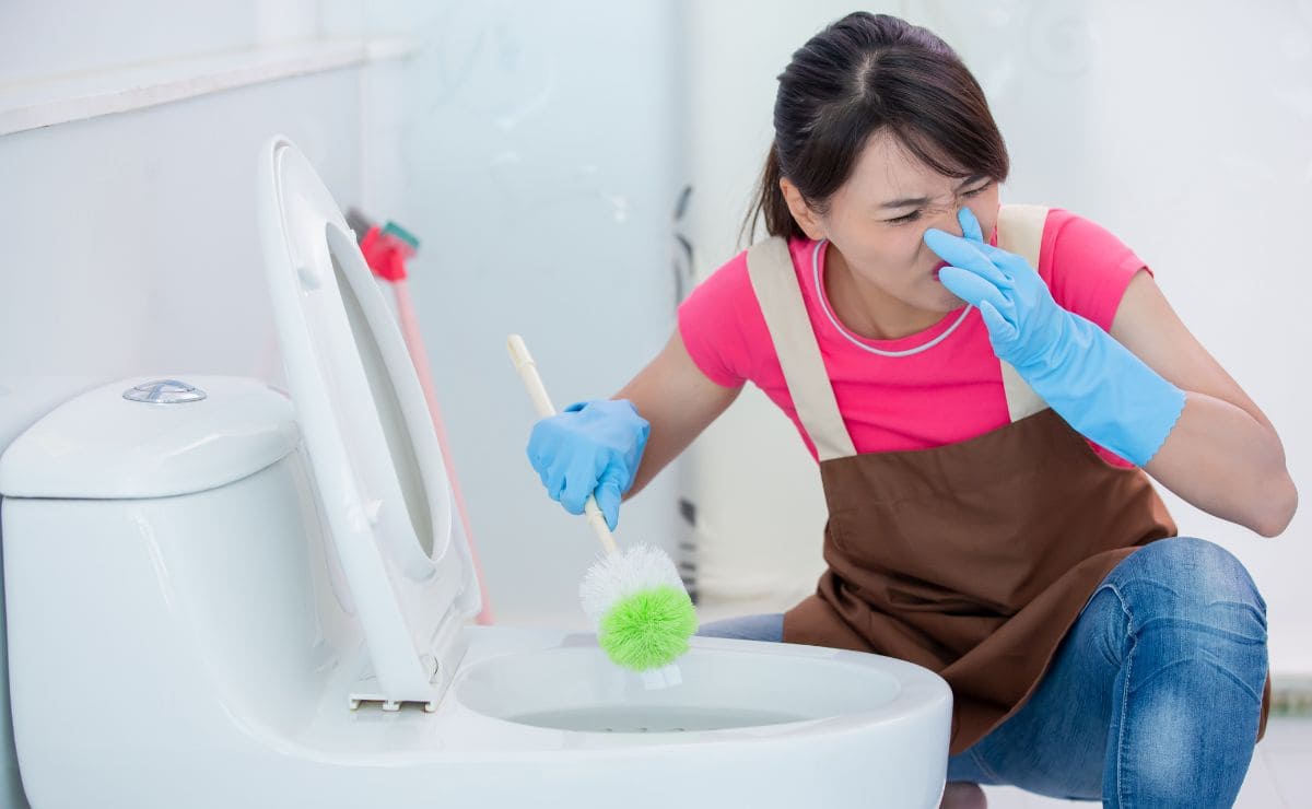 Las alternativas para limpiar y desinfectar el inodoro