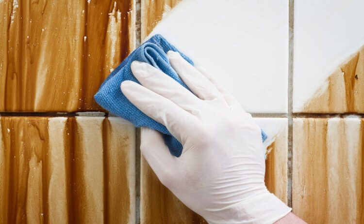Cómo realizar la limpieza de los azulejos del baño