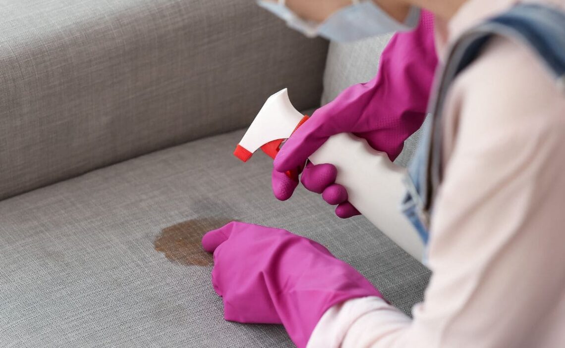 El ingrediente que elimina el mal olor del sofá de tela sin gastar dinero  en productos de limpieza
