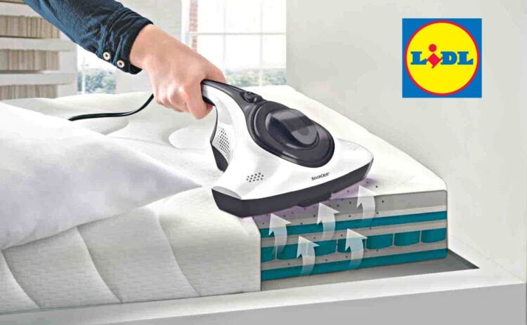 Aspirador sofá y colchón de Lidl