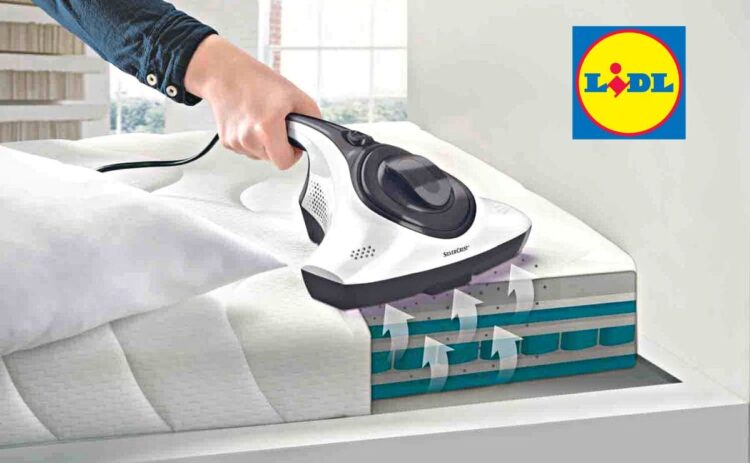 El aspirador antiácaros más potente de Lidl para limpiar tu sofá y colchón  ideal para las alergias