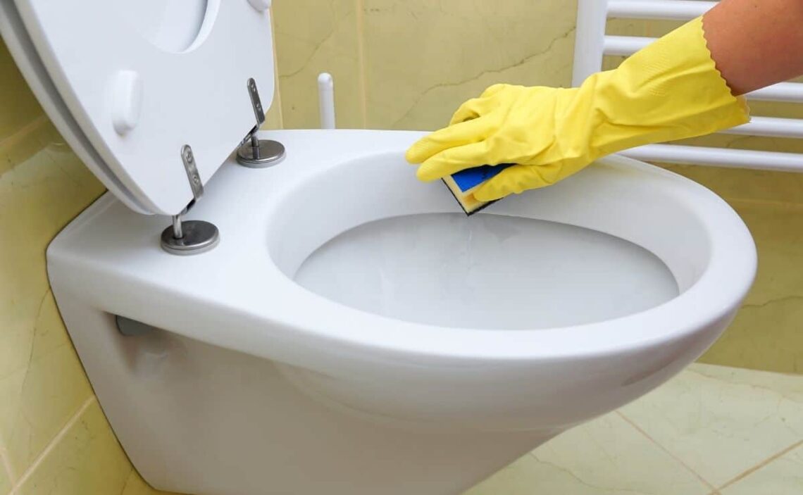La mejor forma de hacer la limpieza de tu WC