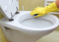 La mejor forma de hacer la limpieza de tu WC