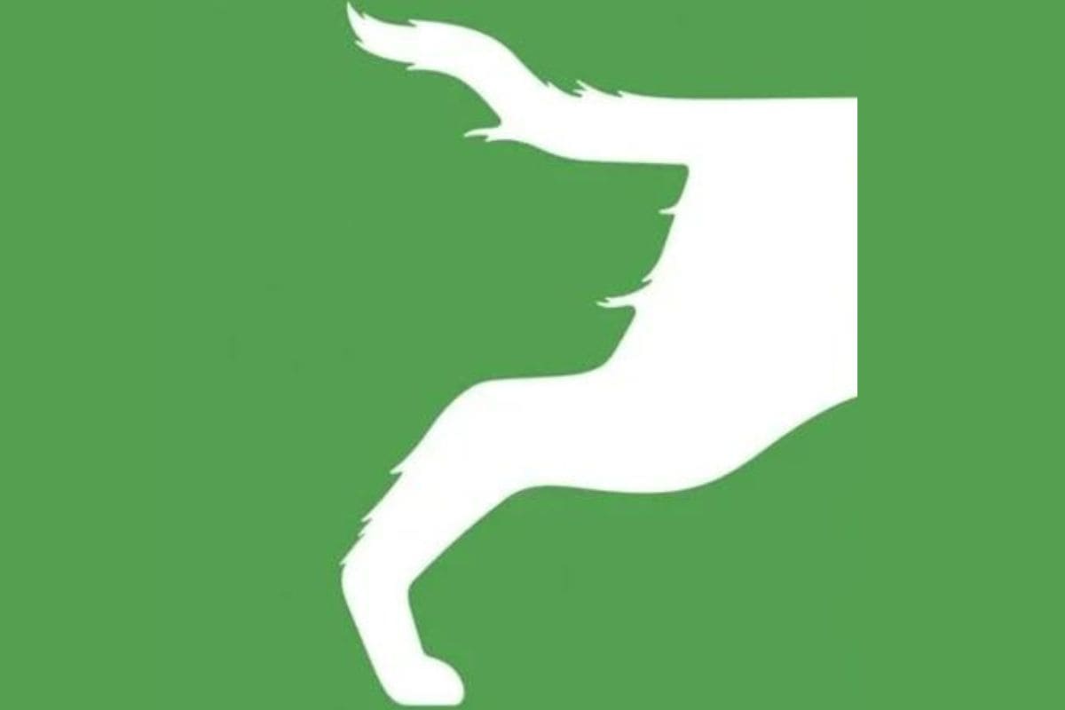 Test de ilusion optica