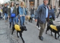 Una manifestación con perros guías con un objetivo muy claro a favor de la discapacidad