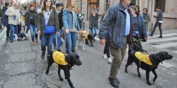 Una manifestación con perros guías con un objetivo muy claro a favor de la discapacidad