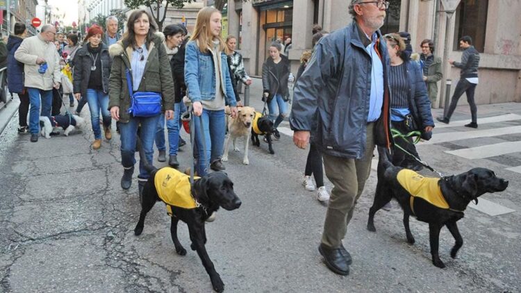 Una manifestación con perros guías con un objetivo muy claro a favor de la discapacidad