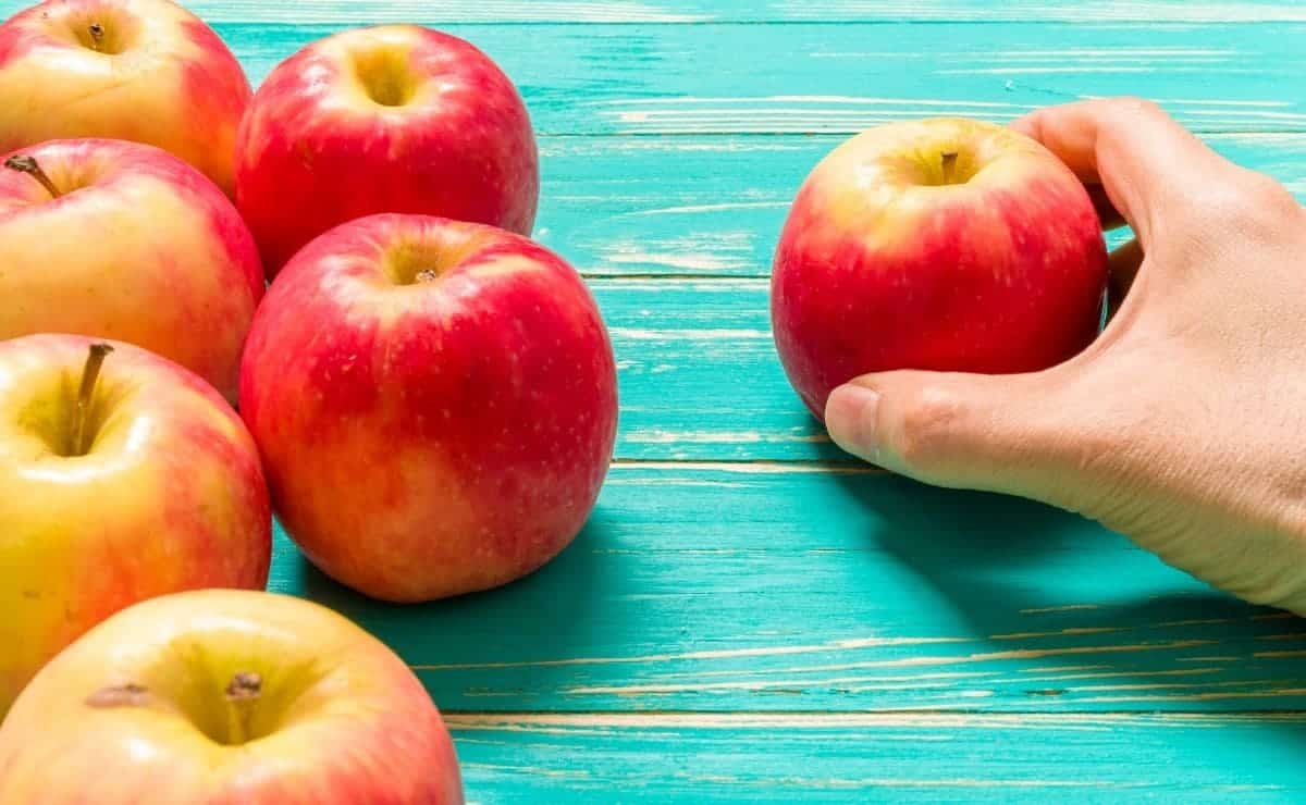manzana alimento fruta microbiota flora intestinal fibra tracto intestino