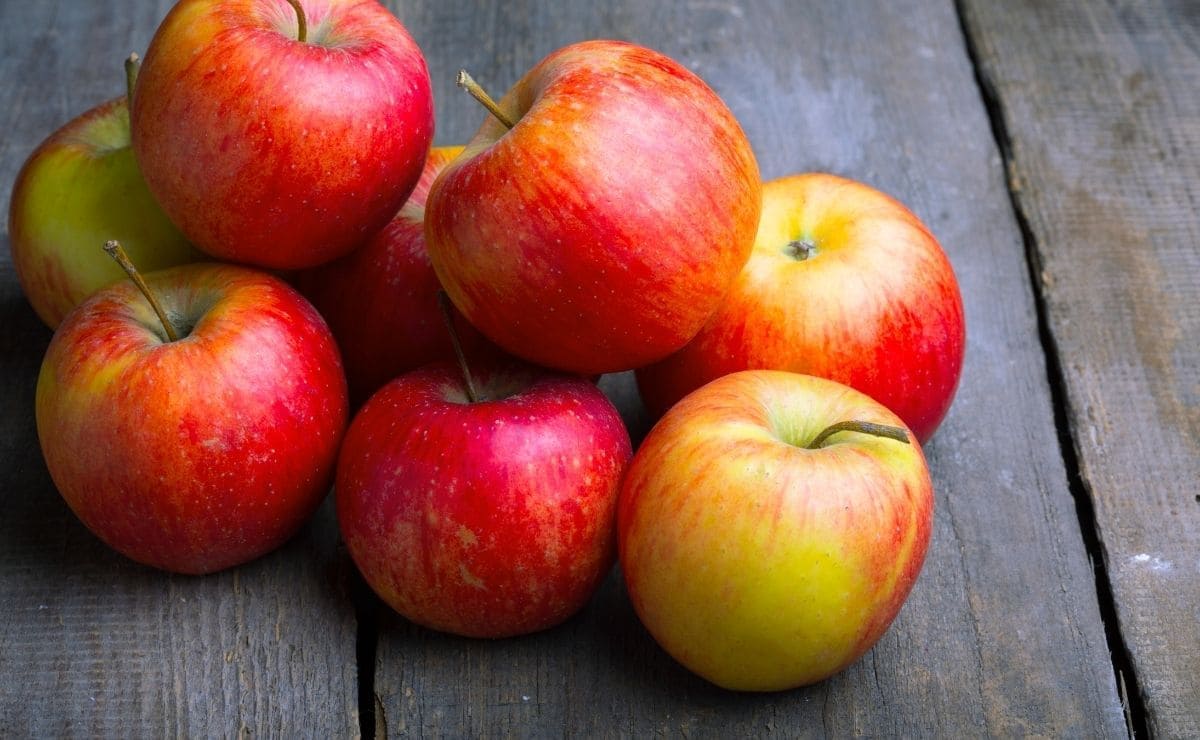 Probióticos: así ayuda el vinagre de manzana a regenerar la flora intestinal