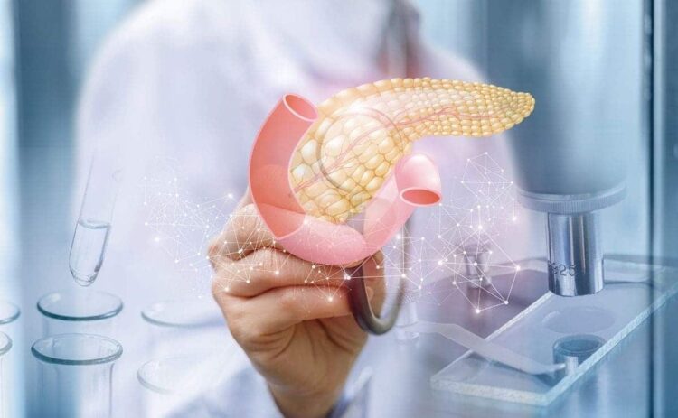 manzanilla efecto beneficios pancreas